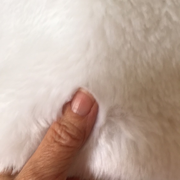 Coat - Picture 5 of 9